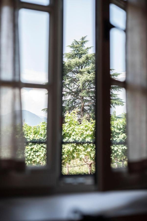 Weingut Kornell - Schafferhaus Cosmas Und Zeder Apartamento Terlano Exterior foto